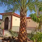 ابها جيزان نجران