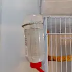 مشربيات هامستر وطيور