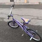 سيكل كوبرا