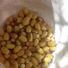 تمور فاخره للبيع