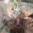 يوجد الدنيا جميع أنواع انخيل وجمع المقاسات المختلفه