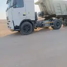 راس فولفو
