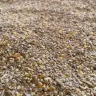 علف الخلطة المتوازنة للدواجن والطيور والحمام