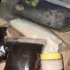تجهيز طلبيه حلزونات للبيع وعظم حبار