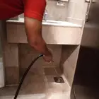 شركة رش مبيدات مكافحه حشرات مكافحه زواحف