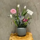 منسق ورد برفشنال خبره 8سنين