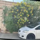 مشاتل الرياض