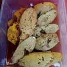 عسل بري جبلي ممتاز درجه اولى نوع العسل طلحه