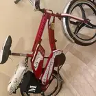 سيكل رامبو عنابي