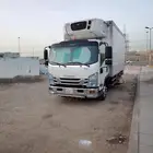 دنيه تجميد تبريد