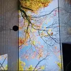 ديكورات الاسقف الفرنسيه المشدوده