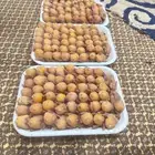 بغلاوه طازجه طرح اليوم