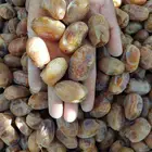 سلام عليكم اليوم عندنا اتمر حبه طيبة وفخخر الموقع القرنه ساج