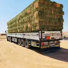السلام عليكم ورحمة الله وبركاته يوجد لدينا برسيم صافي واخر م