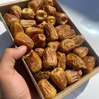 تمر صقعي وسكري