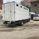 عربه نقل خيل من الباحه إلى مكه الي جده