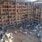 حمام سلفر البيع اجواز