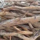 خشب