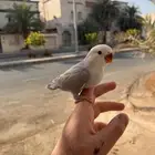 روز اليف وهدد خارجي نشبه ماشاءالله لايفوتكم