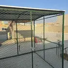 قفص شبك دجاج او حلال مترين بمترين مع اقفاص خشب