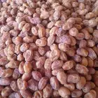 تمور القرنه الفاخره