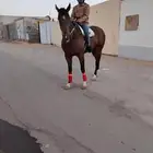 خيال مشغل. الان موجود في الهديا