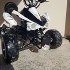 دباب فراشه أربع كفرات