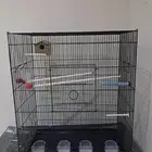 قفص كبير حق الببغاء للبيع قابل للتفاوض