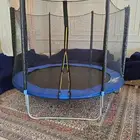 نطيطا أولاد للبيع