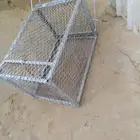 مصيدت القطط ول ثعلب