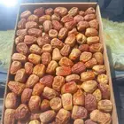 مفتل رقم 2