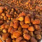 تمور القصيم على الطلب