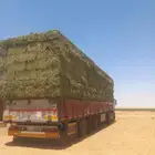 طبرجل جندير