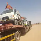 لوبد متوجدفي بيشه على اي اتجاه