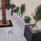 تنسيق حدائق القصيم