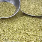 توفر الخضير الحب والجاهز حياكم الله