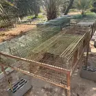 بطارية أرانب