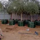 يوجد لدينا جميع انواع الأشجار التوصل علا