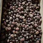 تمر رزيز نثري