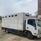 دينه نقل خيل من مكه إلى جدة الى الطائف