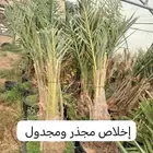 جميع أنحاء المملكة العربية السعودية اتوصل