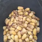 لجميع أعمال النخيل والواشنطني كما يوجد خرافين ذوخبره