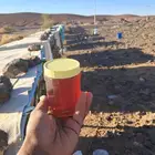 عسل طبيعي وبلدي مضمون وثقه على الدمه