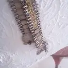 عدد2حزام ملبوس العافيه