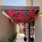 ديكورات جداري شجر اي م ان توصيل وتركيب