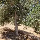 جميع اعمال الحدادة والزراعة