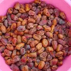 تمور حائل الفاخره