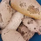 عسل بري جبلي ممتاز درجه اولى قطف اليوم