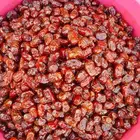 تمور حائل الفاخره