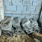 مكينة كامري النترا 2005 إلى 2017